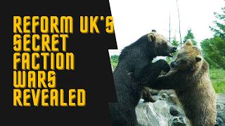 Reform UK Exposed: "Like A Toxic HMO Where Nobody Likes Each Other"