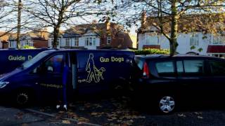Guide Dogs Birmingham Mobility Team Mannequin Challenge 2016