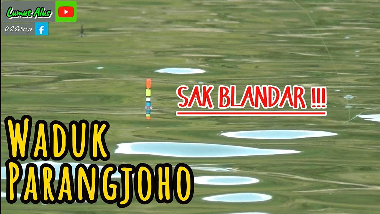 TEGEKKU DIHAJAR BABON‼️ TIDAK DISANGKA SPOT INI MENYIMPAN BANYAK NILA BABON #mancing #fishing 