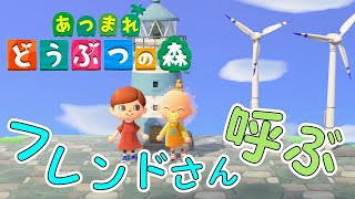 はじめてフレンドさんを島に呼んであそんだ☆【あつ森】