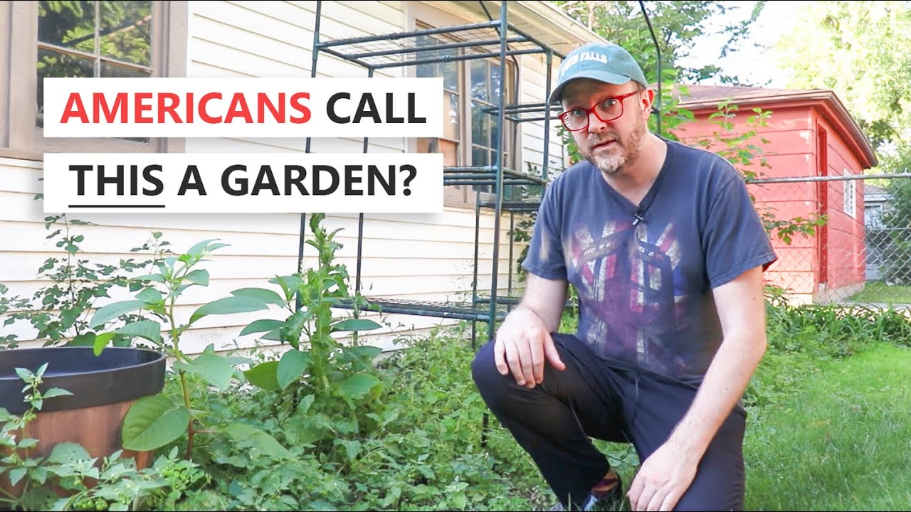 11 Words with Completely Different Meanings in Britain and America