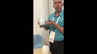 Young Living Desert Mist Ultrasonic diffuser in action!