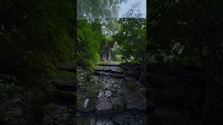 夏雨 summer rain #nature #rainyday #hangzhou