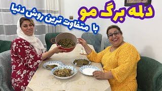 ولاگ خرید و پخت دلمه برگ مو با نرگس جون  با کلی صحبت ، روزمرگی های من