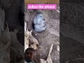 #youtubeshorts #shorts