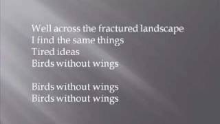 David Gray - Birds Without Wings (A Century Ends, 1993).mp4 chords