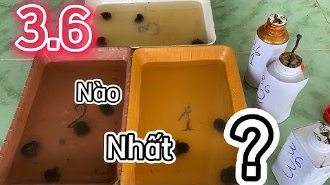 Xử lý ốc bươu vàng bằng thuốc 3.6 @VVC