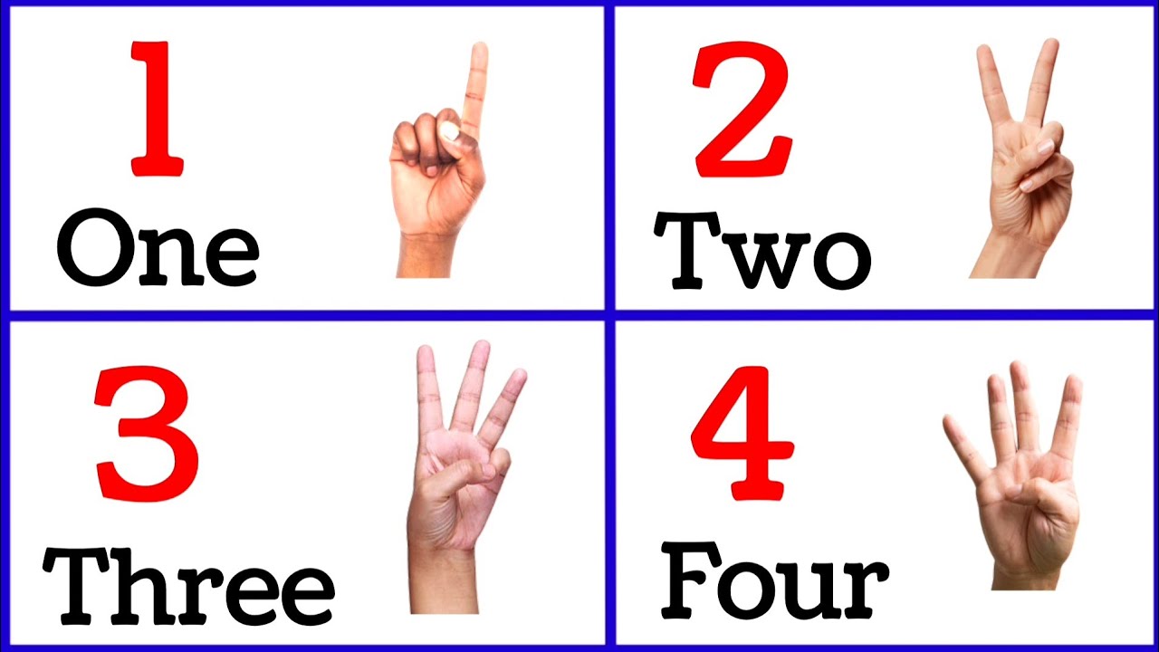 One Two Three Four Number || Counting Number with Spelling || Kids Education ||