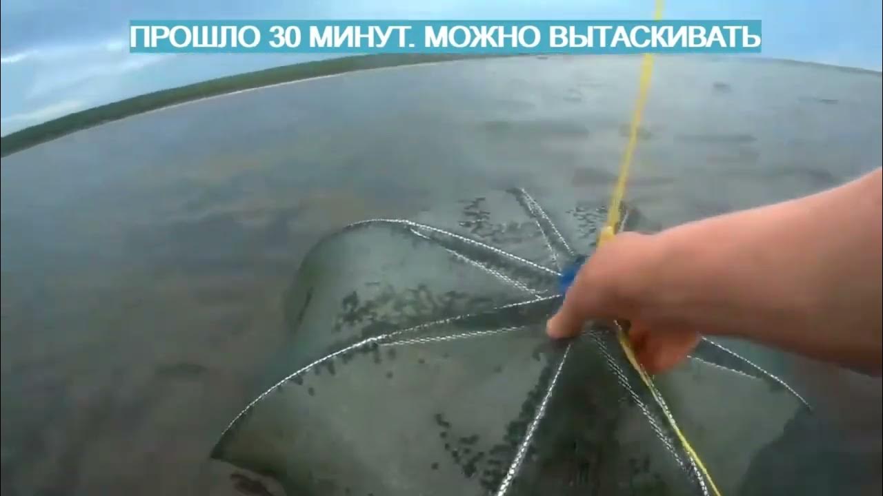 Как ловит рыболовная верша паук - YouTube