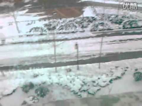 2011年第一场大雪