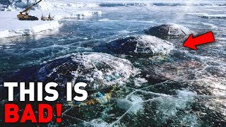 HISTORY SHAKEN: A Frozen Fleet OLDER THAN EARTH Found Under Antarctica’s Ice