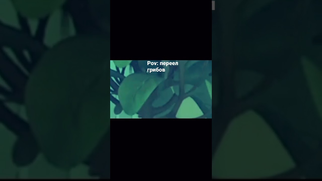 Муд барбоскины //пОбОчНый ЭфЕкТ//(без мата) 