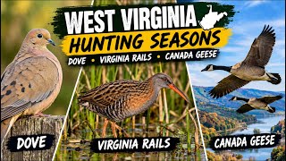 Migratory Game Bird Hunting Seasons screenshot 2