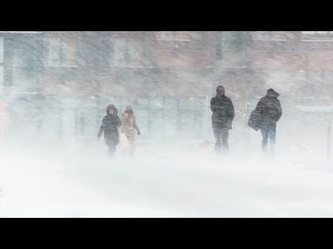 Мощная метель и жуткий холод обрушились на Сибирь. В регионах объявлено штормовое предупреждение