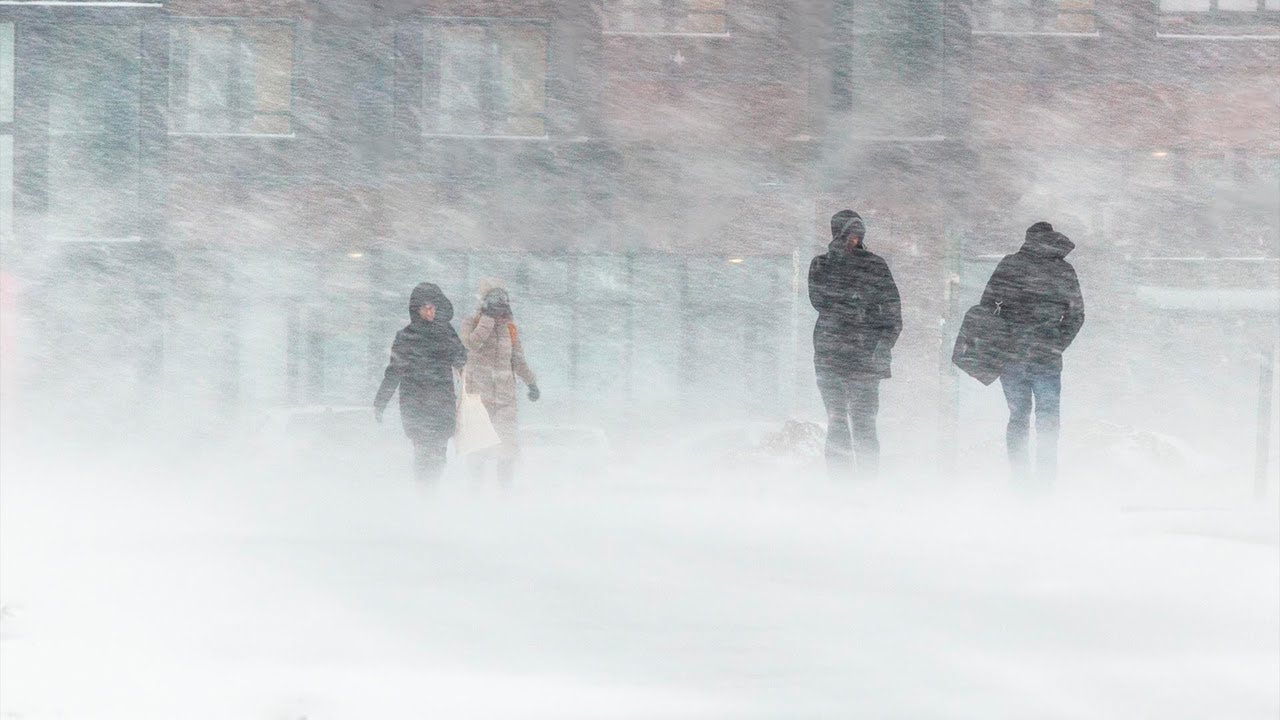 Мощная метель и жуткий холод обрушились на Сибирь. В регионах объявлено штормовое предупреждение