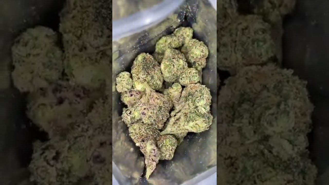 Late Night Jelly Donut • Strain Review 🔥🔥🔥🔥