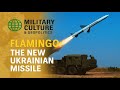 The New Ukrainian Missile That Puts All Russian Bases Within Reach - Flamingo