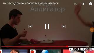 Как едят животные Как едят животные