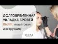 Непослушные брови? Поможет долговременная укладка бровей Biolift (Lucas Cosmetics).