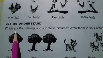 Class 1 English B(Step by Step English Grammar) Topic SIngular and Plural. Allied School