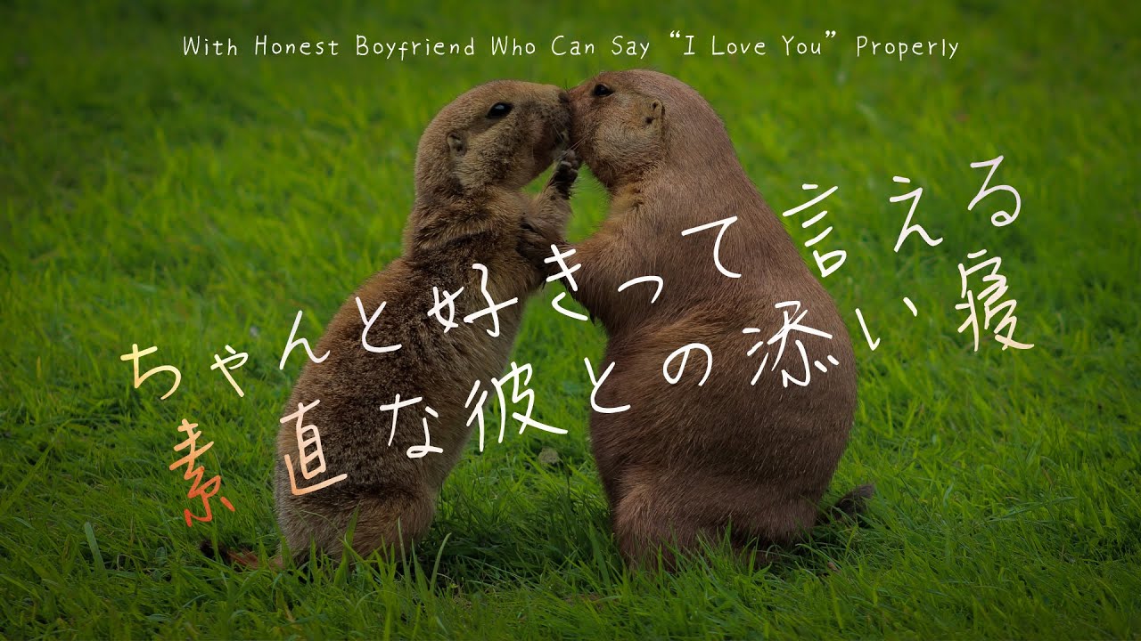 【女性向け】ちゃんと好きって言える素直な彼と【シチュエーションボイス】