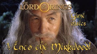 Lord of the Rings: Adventure Card Game - Campaign & Basics Part 1