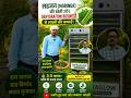 🌿 सहजन (Moringa) की खेती + Dehydration Business = कम लागत में बड़ा मुनाफा! 💰अब शुरू करें #solardryer