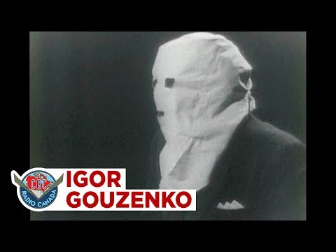 Video: Igors Prokopenko: biogrāfija, personīgā dzīve, ģimene un bērni, foto