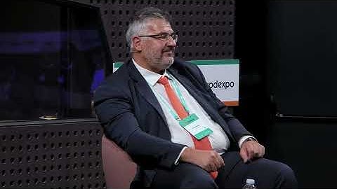 Digital platforms and personal touch: The role of agents in the property market