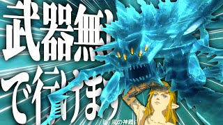 フリザゲイラ？？武器無しで行けます…＃3【ゼルダの伝説ティアーズオブザキングダム　ティアキン 検証】