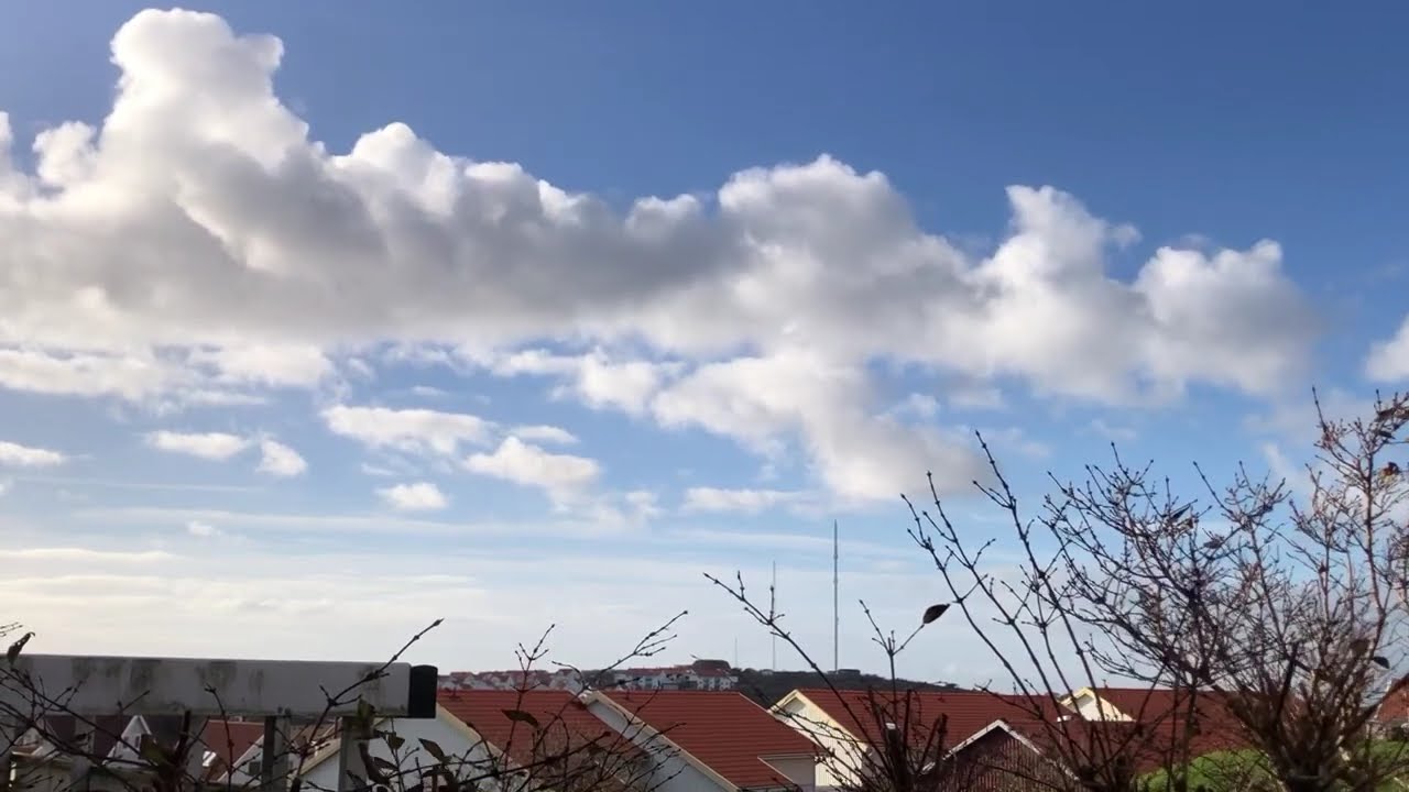 Mix Jazz -MUSIC Relaxing -2025 [Healing frequency ] 