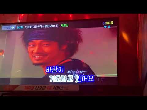 [박효신 - 눈의꽃]