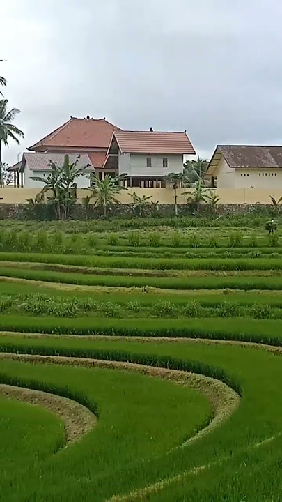 Luar biasa indahnya terasering di desa mareje lembar lombok barat
