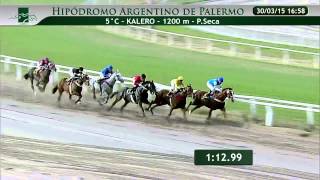 20150330 5 palermo