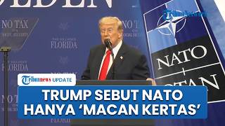 Presiden AS Donald Trump Murka Serang NATO: ‘Kalian Dipecat!’, Sekutu Hanya ‘Macan Kertas’