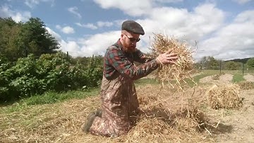 How to Prevent Soil Erosion After the Growing Season with Cover Cropping and or Mulching