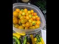 #garden #cityboygardener #ilovefood #firsttimebeginnergarden