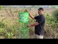 Adopt a TreeTribute by Dr. Chandan Makeup Sir in Loving Memory ofFather Late Prafulla Chandra Makeup