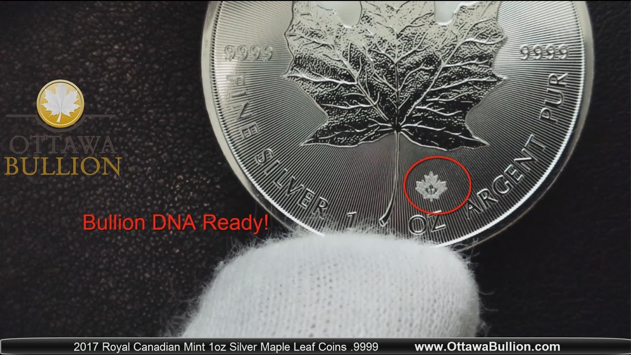 2017 Silver Maple Leaf Coin - Royal Canadian Mint Bullion DNA Dealer