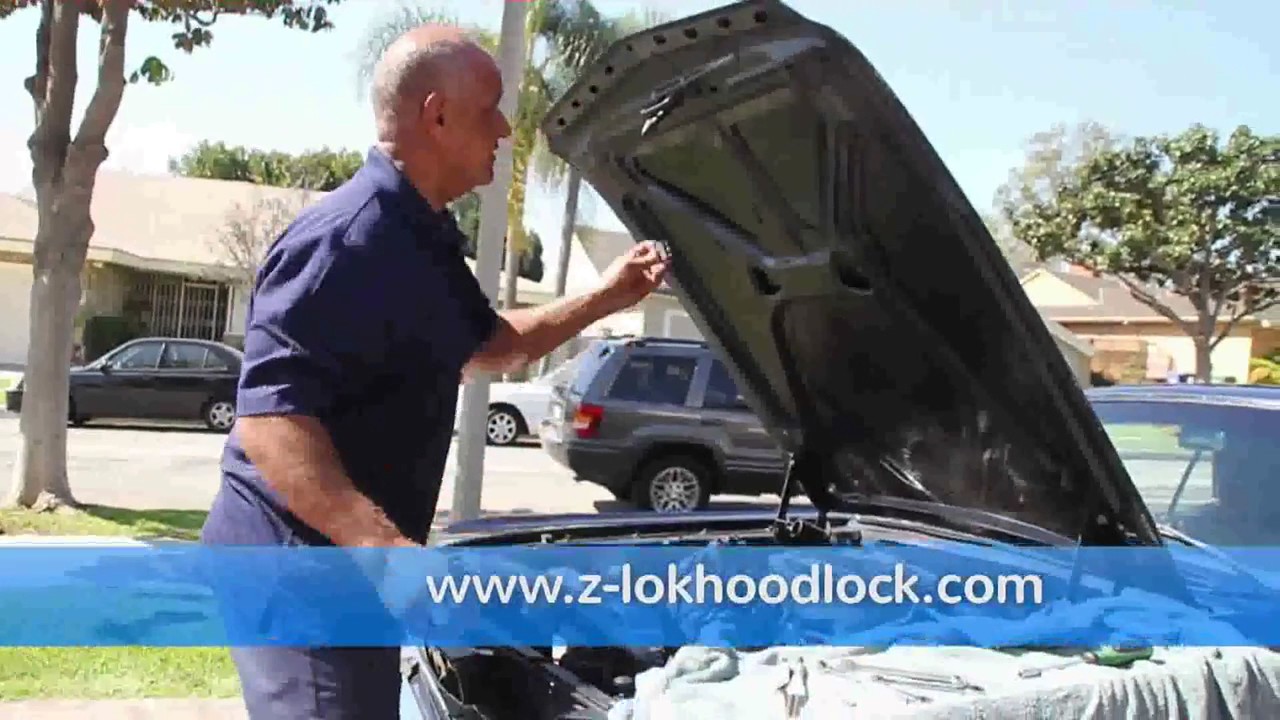 Z LOK Anti Theft Device