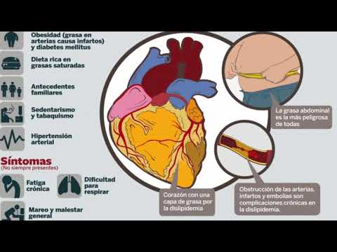 Vídeo: Diferencia Entre Dislipidemia E Hiperlipidemia