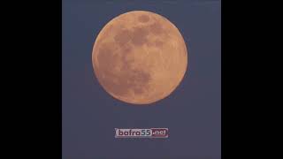 Kurt Ay Hatayda Görüldü