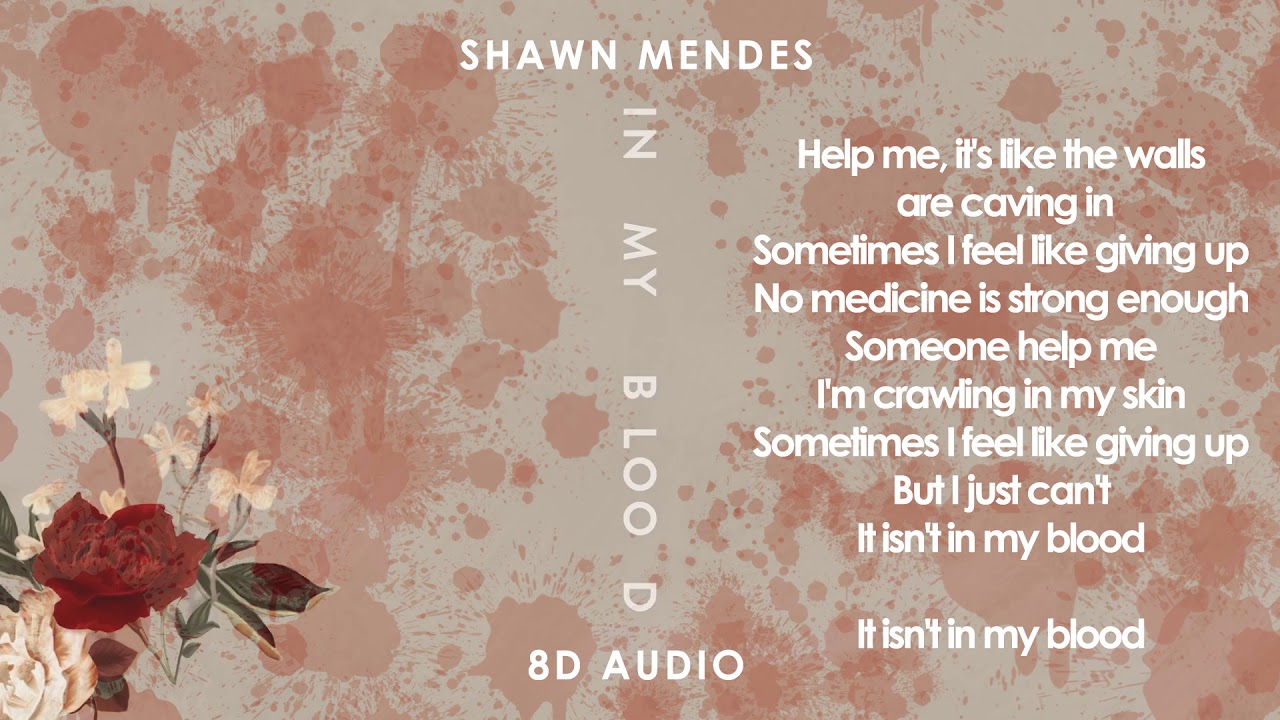 Shawn Mendes In My Blood Lyric Video 8d Audio Dawn Of Music Youtube - roblox id shawn mendes in my blood