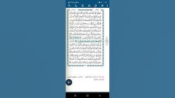 سورة البقرة اية (٢٤٢)