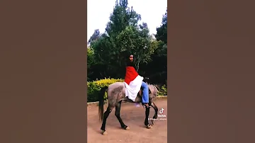 DAADOO Oromo Music By Dinkisa Debela Oromo Music Oromo Music Oromo TikTok Video 