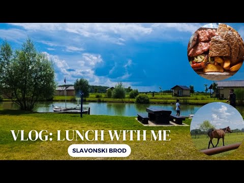 VLOG|Lunch with me|things to do near Slavonski Brod|expat living in Croatia|African living in Europe