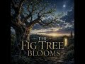 The Fig Tree Blooms | Angel Avenue Original
