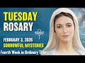 Tuesday Rosary 💚 Sorrowful Mysteries of the Rosary 💚 February 3, 2026 VIRTUAL ROSARY