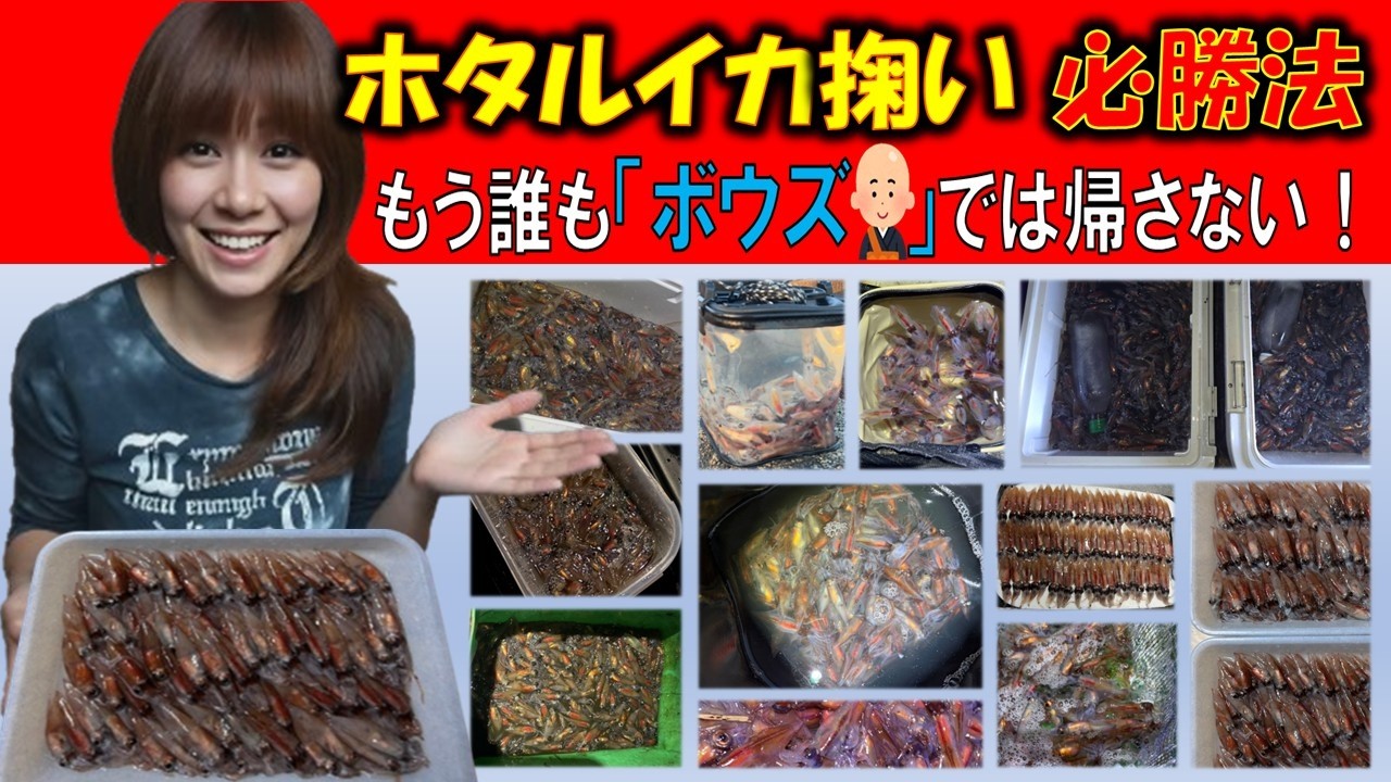 「ホタルイカ掬い」必勝法を伝授・実践・検証！もう誰も手ぶらでは帰さない！ホタルイカ掬い2026・岩瀬浜、八重津浜、打出浜、足洗