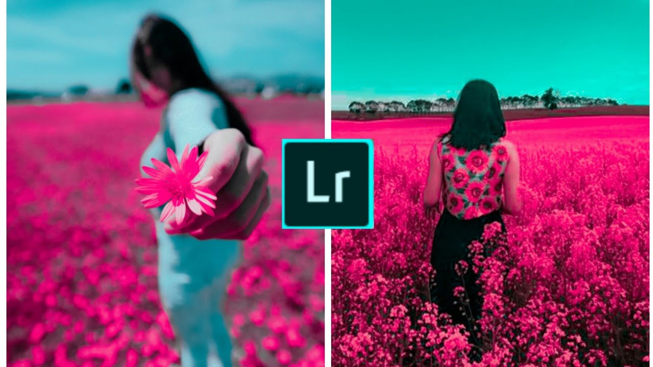 HOW TO EDIT PINK TONE PRESET IN [LIGHTROOM CC] 